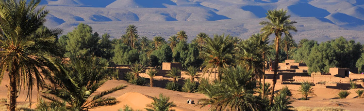 Барханы Марокко