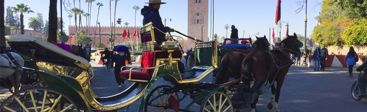 Барханы Марокко