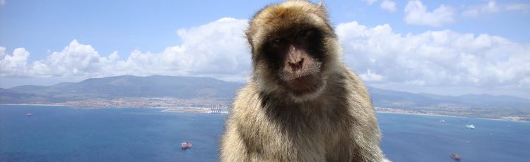 Иcпания+Гибралтар+Марокко