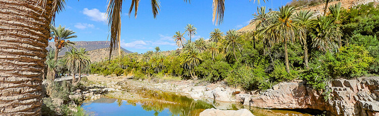 Барханы Марокко